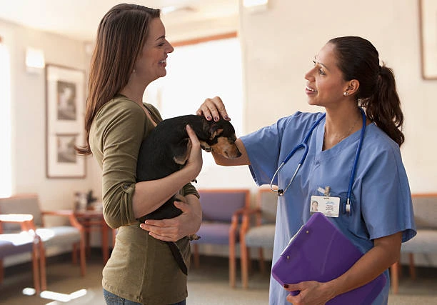 Imagem ilustrativa de Clínica veterinária