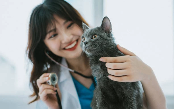 Clinica veterinaria perto de mim