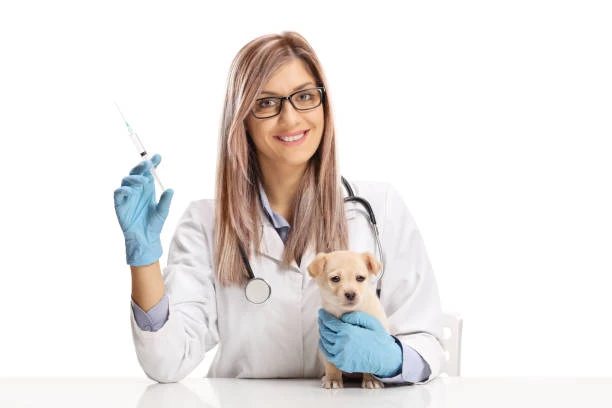 Tratamento com células tronco para pets no ABC