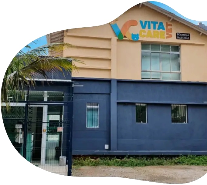 Empresa Empresa